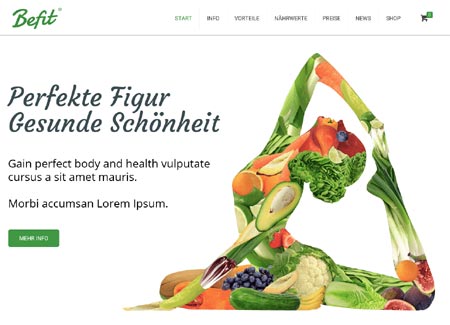 Webdesign für Landingpages. Beispiel Diätprodukte